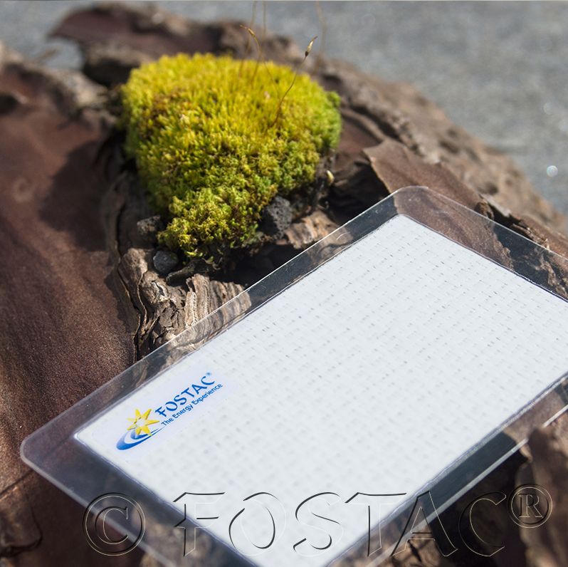 BioEnergy - Electric Mini - FOSTAC - 2