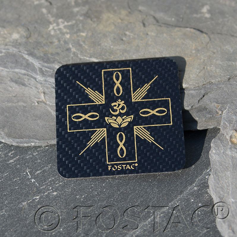 BioEnergy - OMNI Chip - FOSTAC - 1