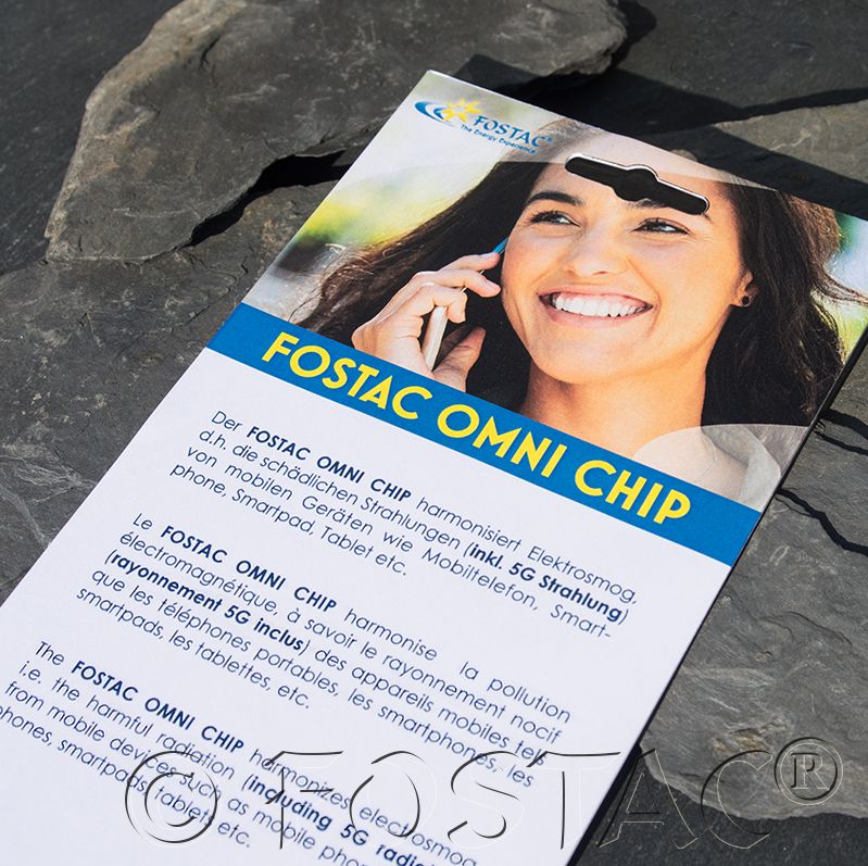 BioEnergy - OMNI Chip - FOSTAC - 2