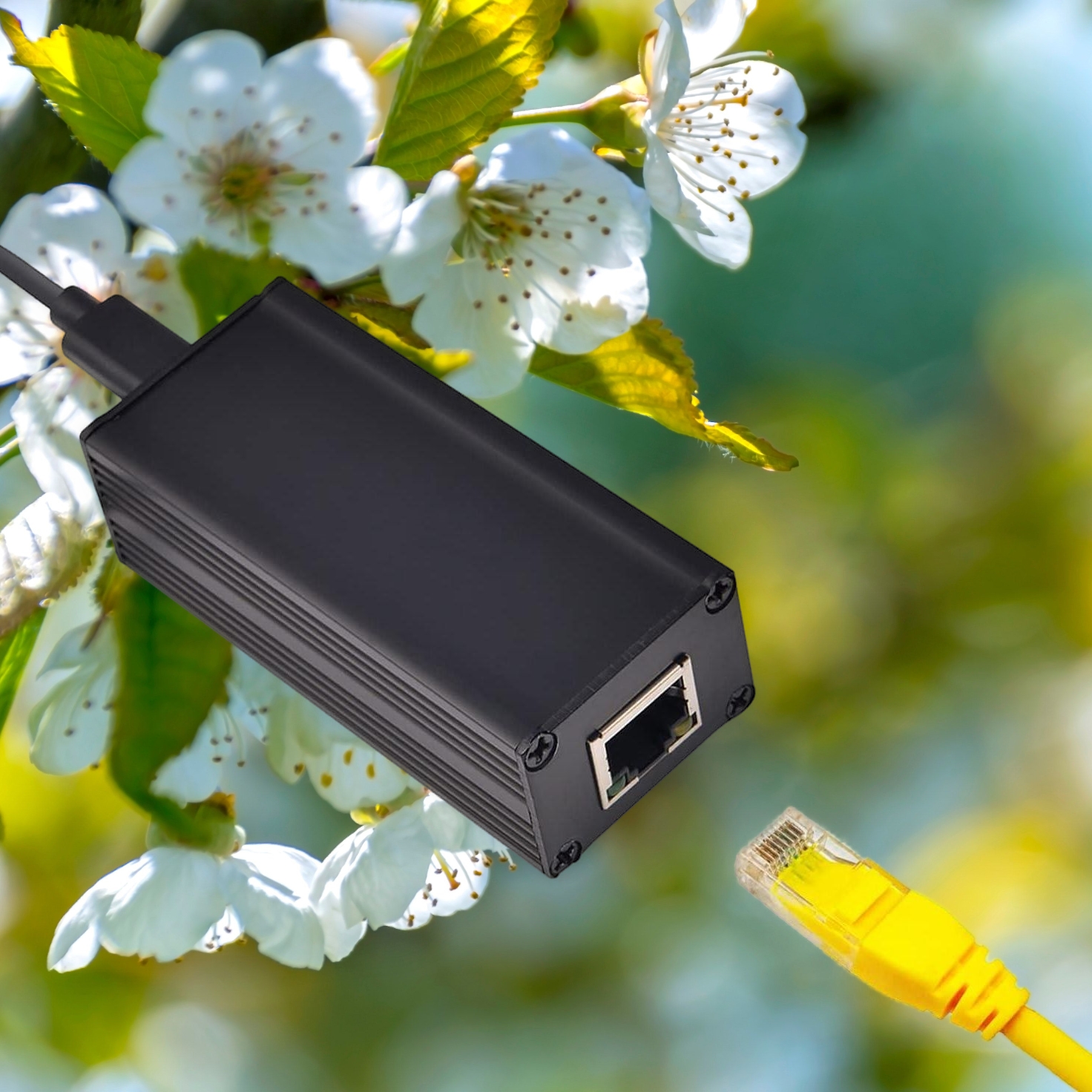 BioEnergy - USB-C - RJ45 Adapter - 13