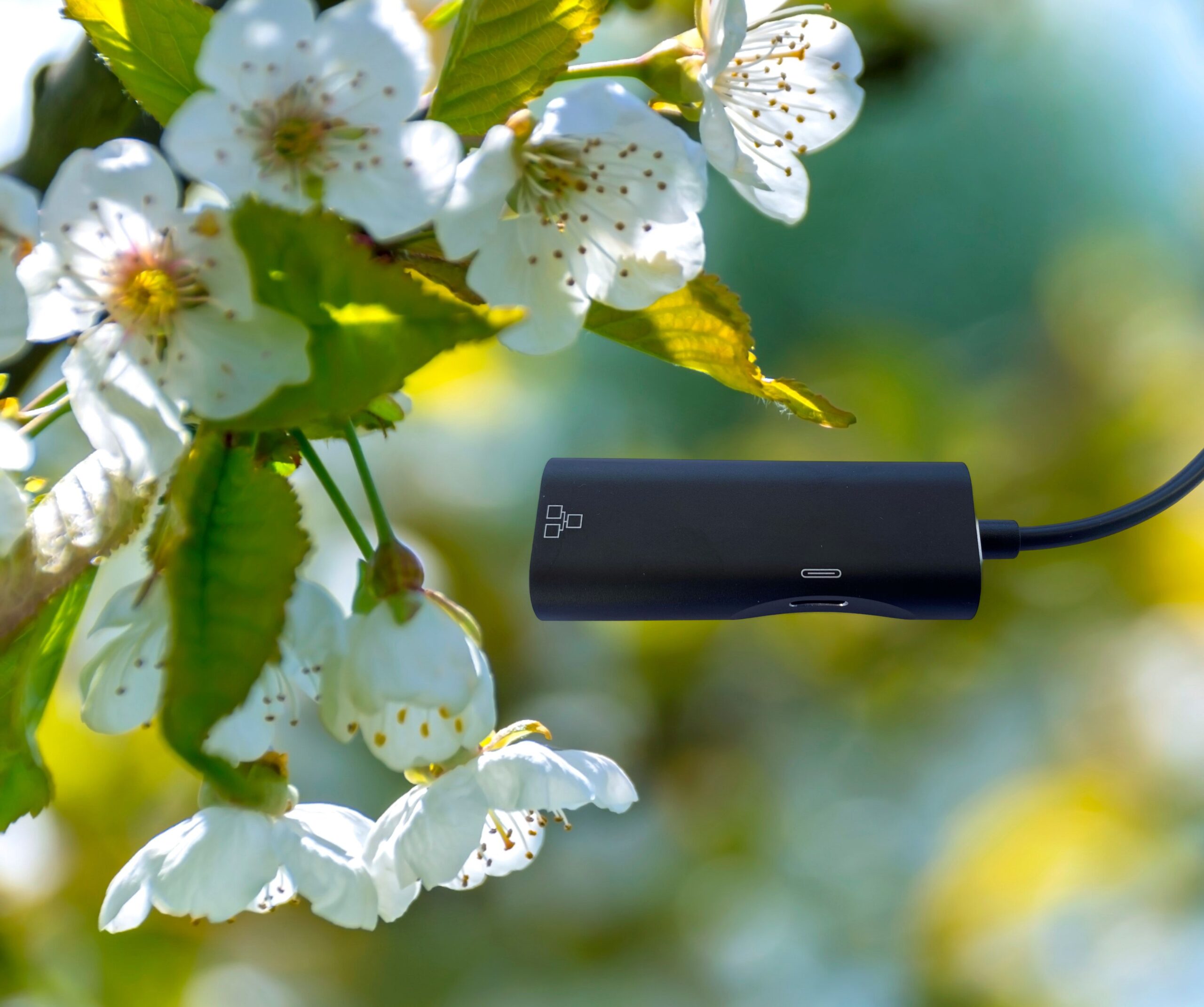 BioEnergy - Lightning - RJ45 Netzwerk - 1