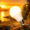 BioEnergy - OcuBulb -5